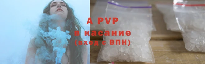 мяу мяу мука Пестово