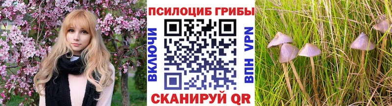 Галлюциногенные грибы Psilocybine cubensis Бодайбо
